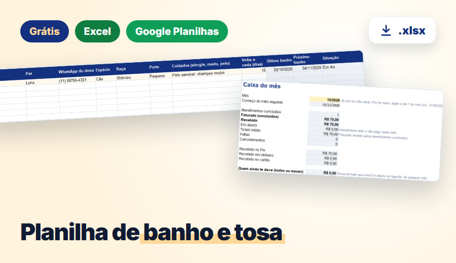 Planilha de banho e tosa grátis com as abas Clientes e Caixa do mês